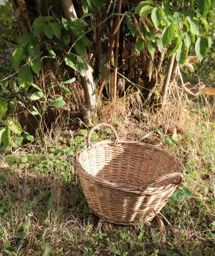 Petit panier